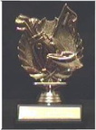 trophy6